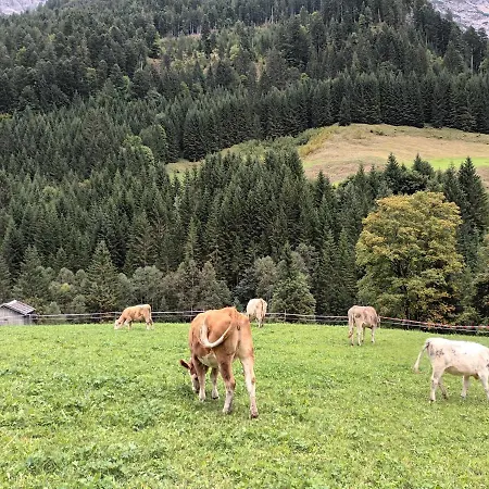 Kaufbeurerhausblick Appartement *