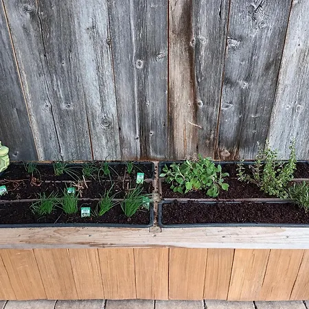 Kaufbeurerhausblick * Hinterhornbach