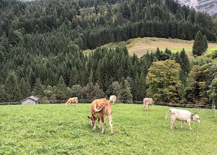 Ferienwohnungen Meister Apartment *